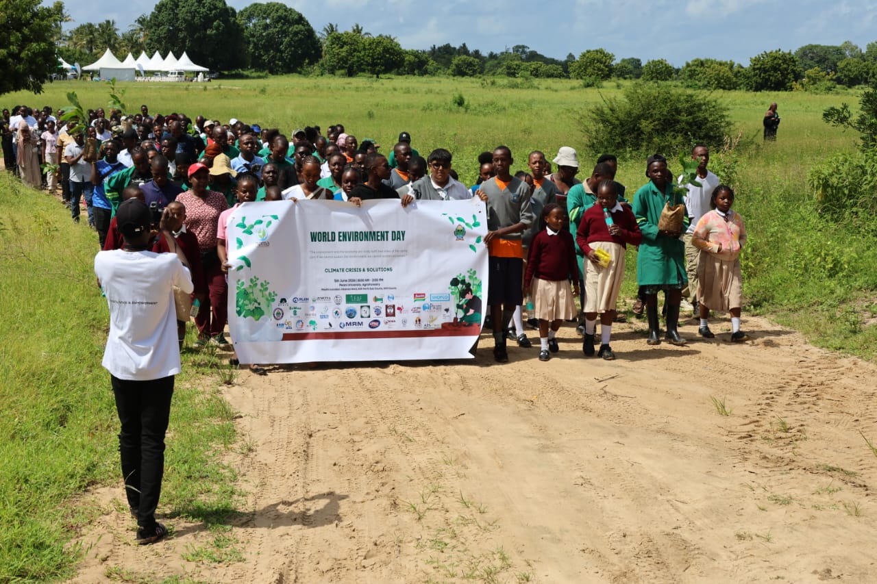 World Environment Day activity