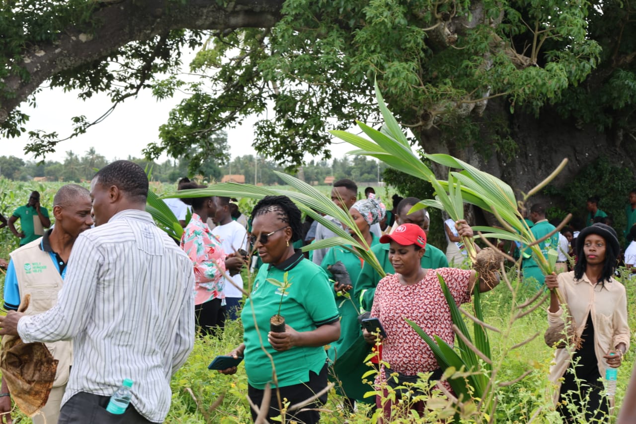 Tree planting activity